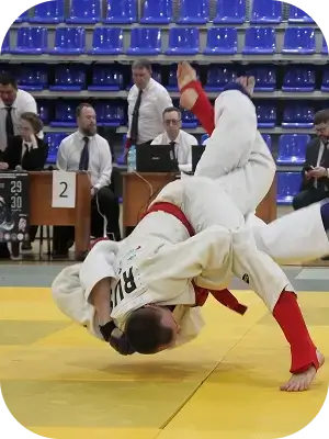 Бросок в рукопашном бою